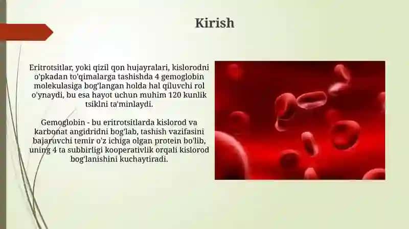 Eritsotsitlar turlari, funksiyasi.Gemoglabin va uning turlari 3