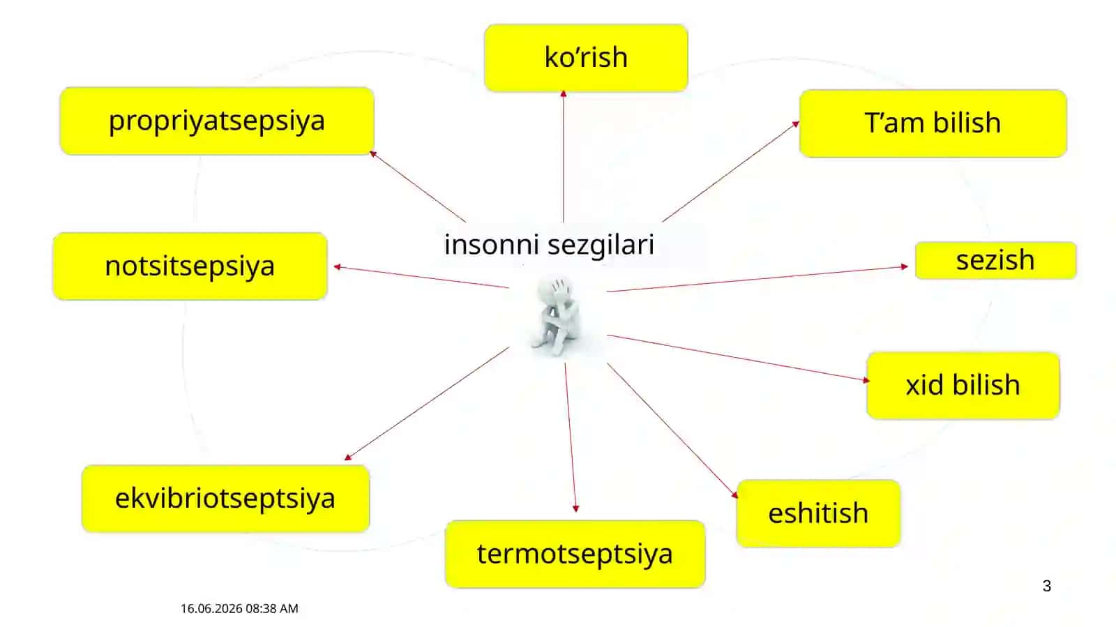 Ёритилганлик меҳнат муҳофазаси 3