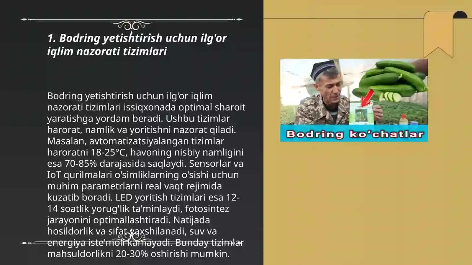 Bodring yetishtirishning zamonaviy texnologiyalari 3