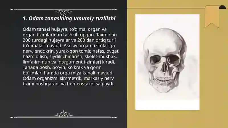 Odam tanasi haqida umumiy malumot 3