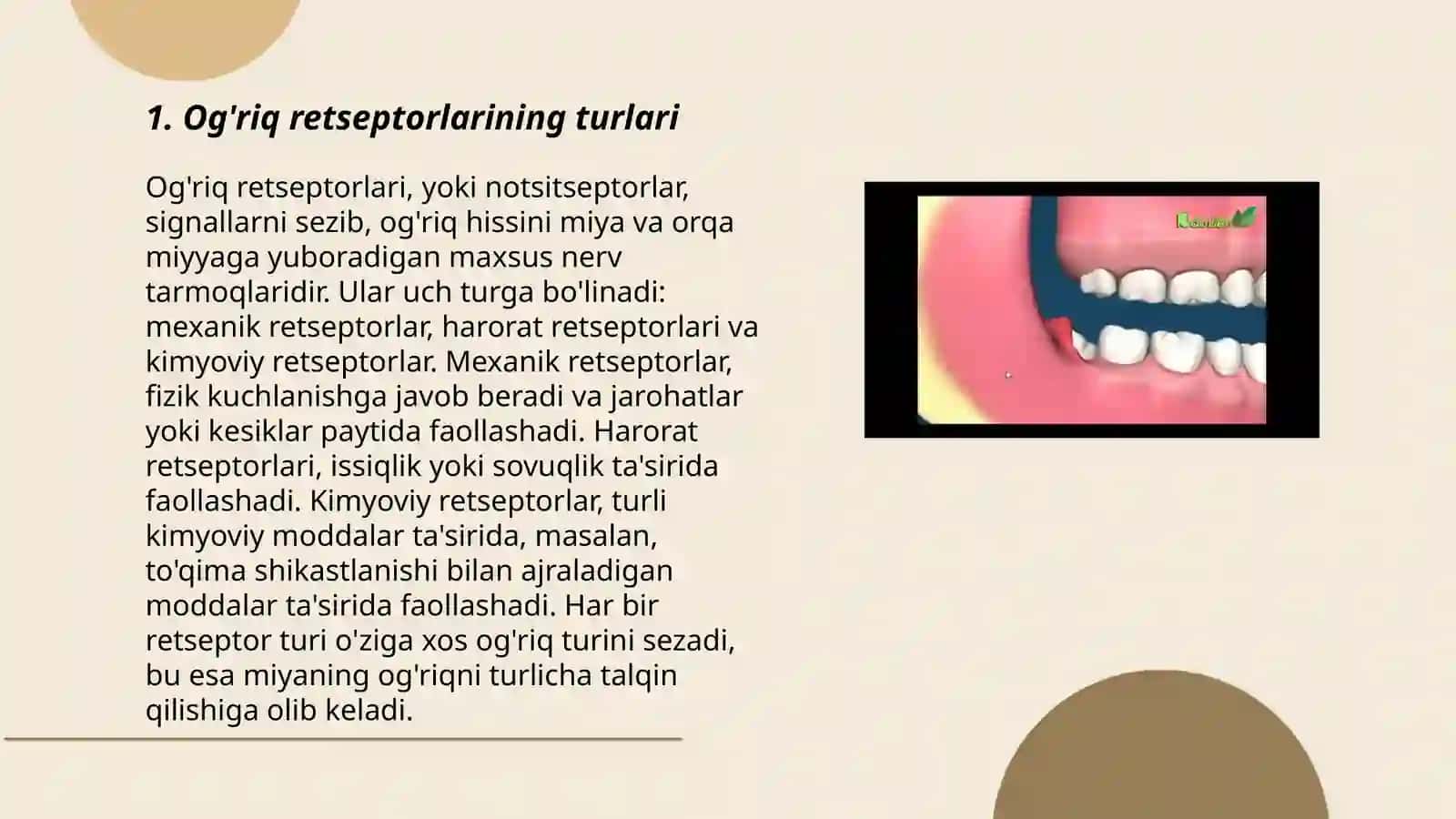 Og'riq retseptorlari turlari 3