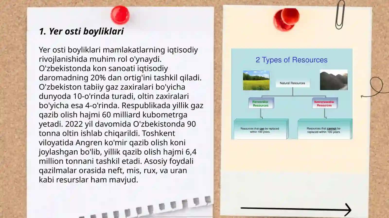 Tabiiy resurslar tasnifi 3