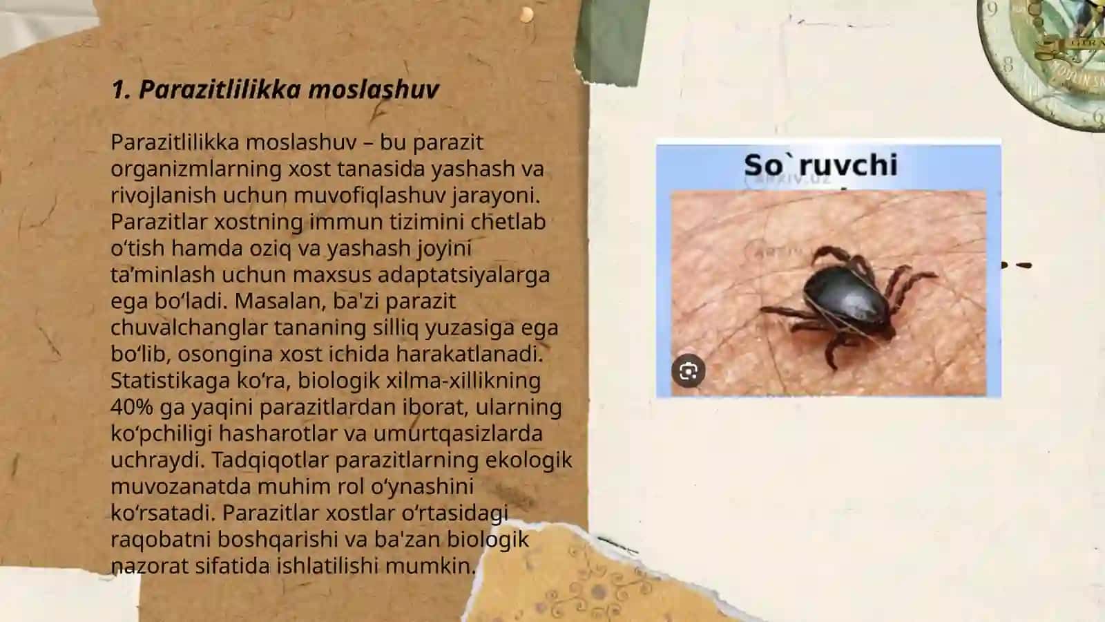 Parazitlik qiluvchi oʻrgimchaksimonlar 3