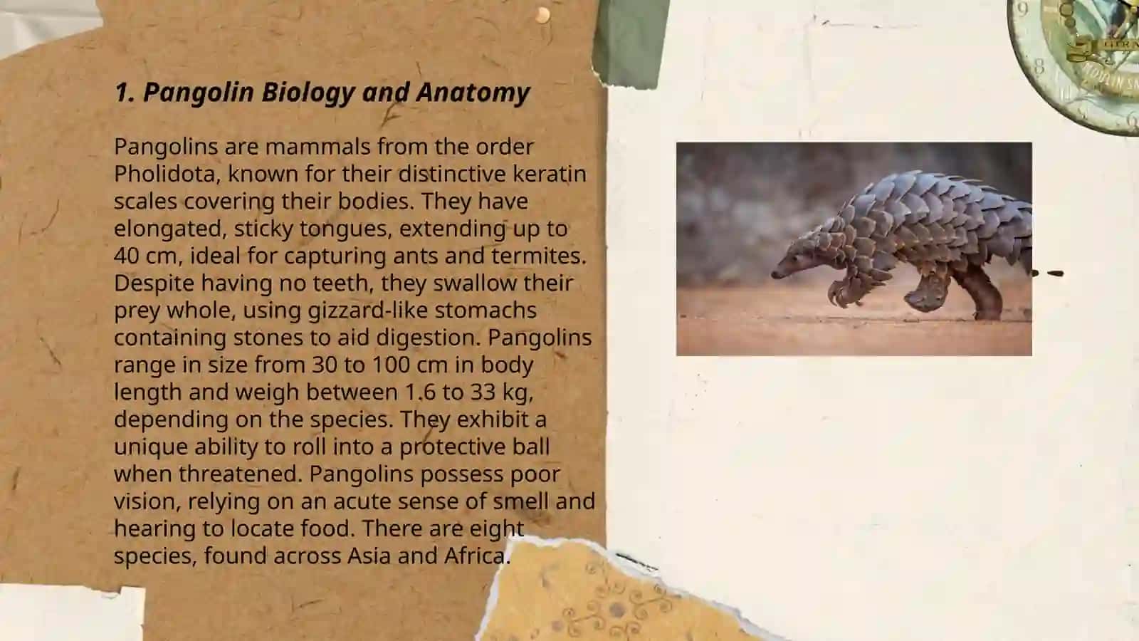 Begzod 3