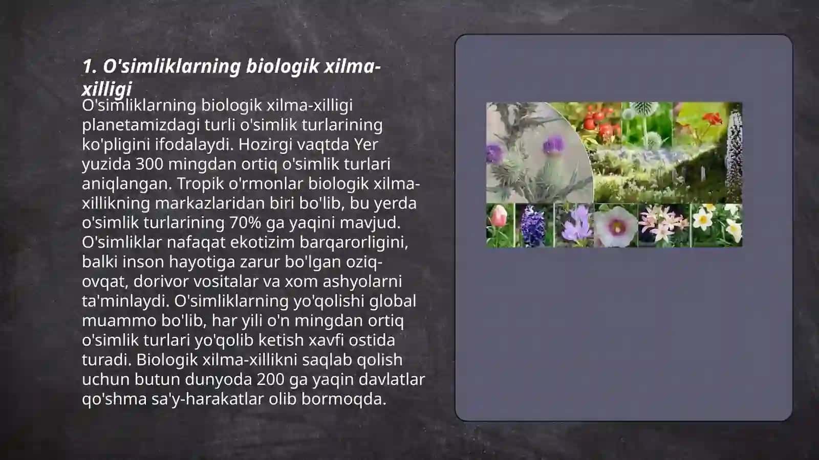 O'simliklar dunyosi 3