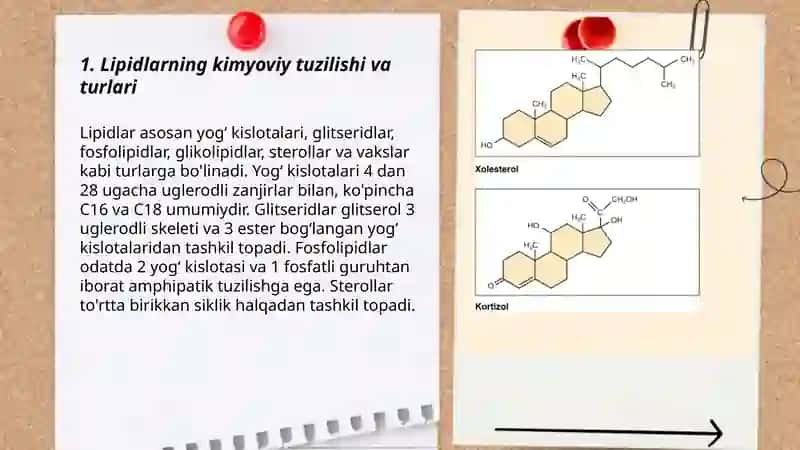 Lipidlarning almashinuvini 3