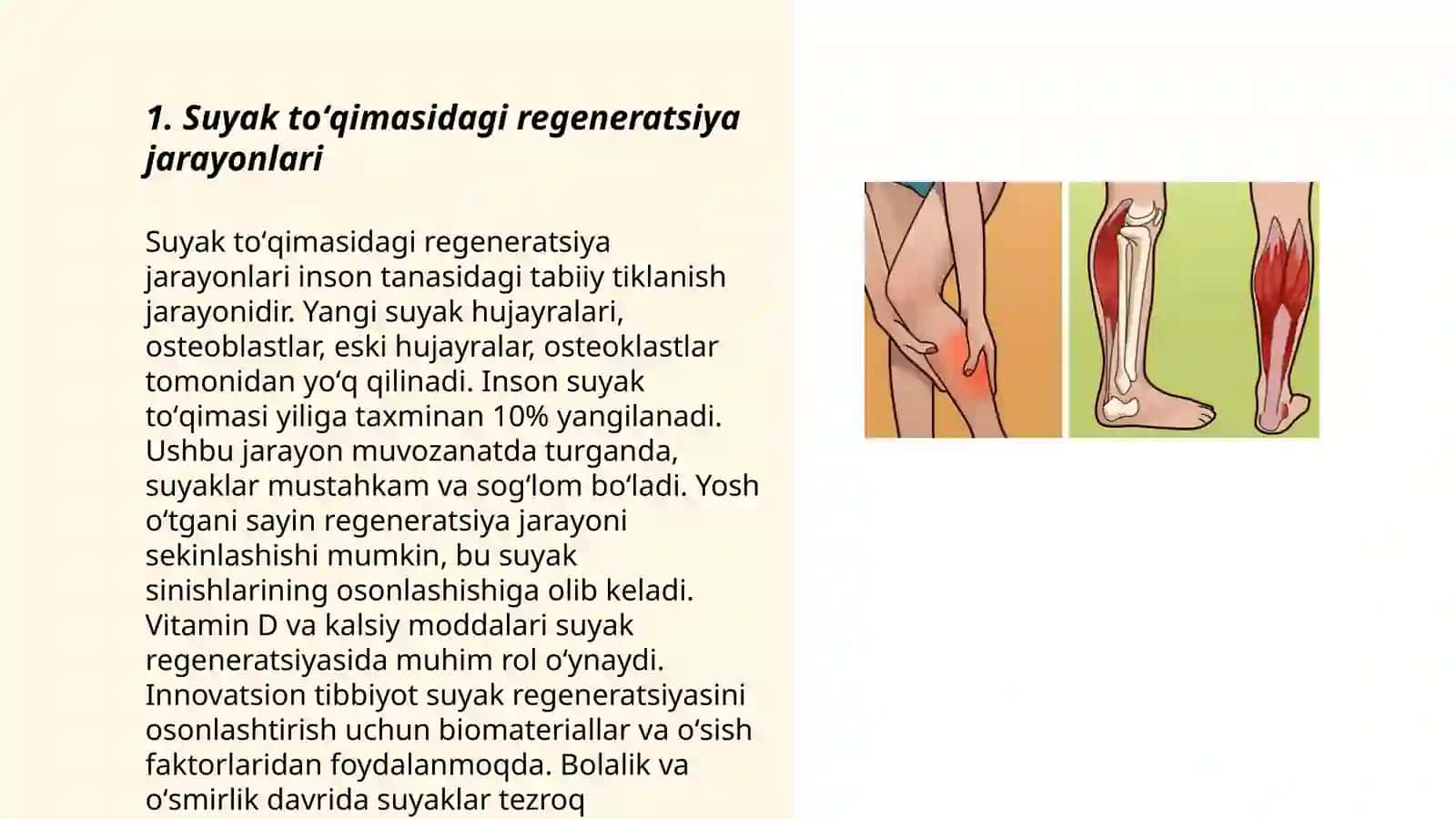 Suyak toʻqimasini regeneratsiyasi 3