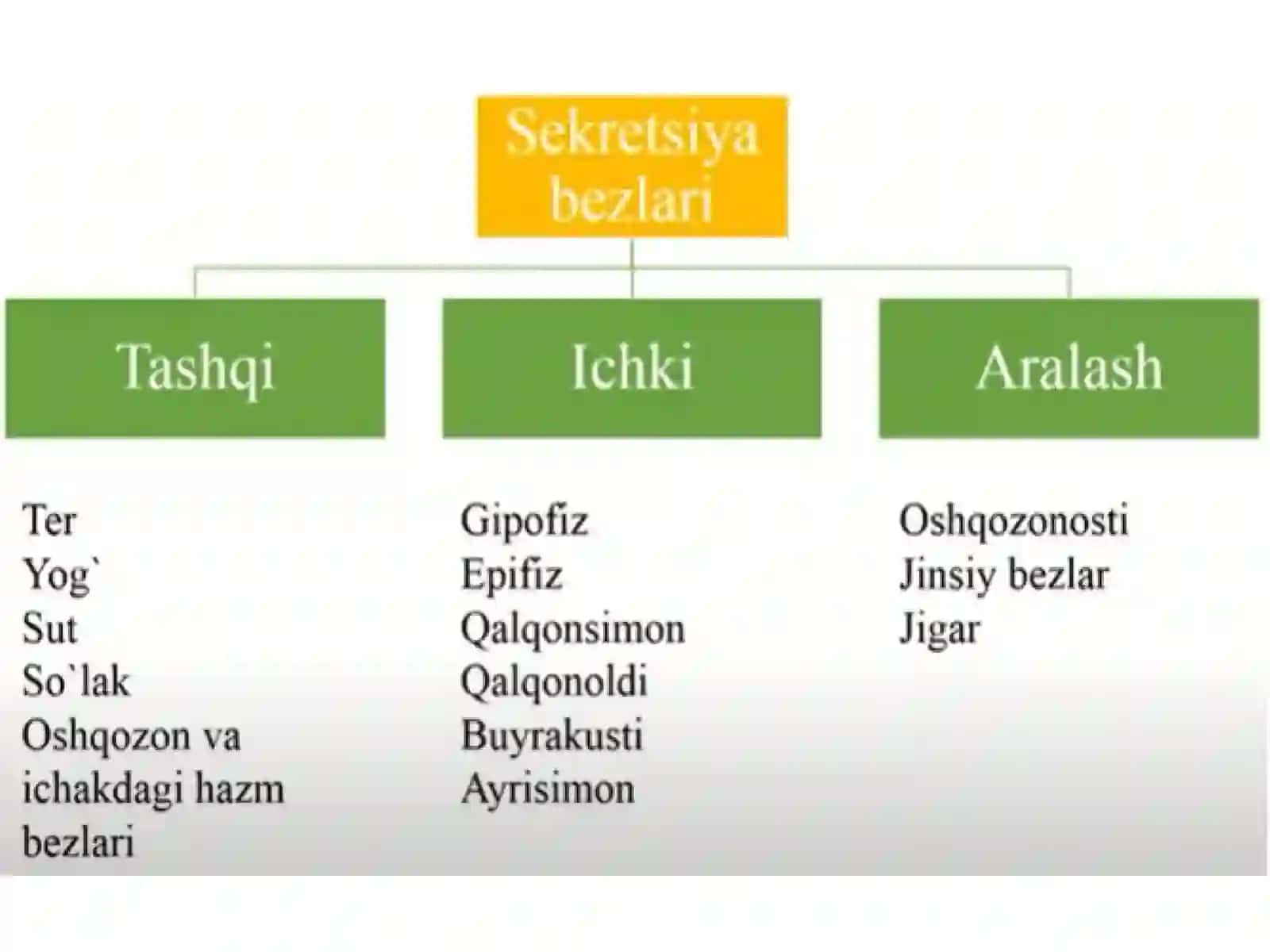 Ichki sekretsiya bezlarining tuzilishi 3