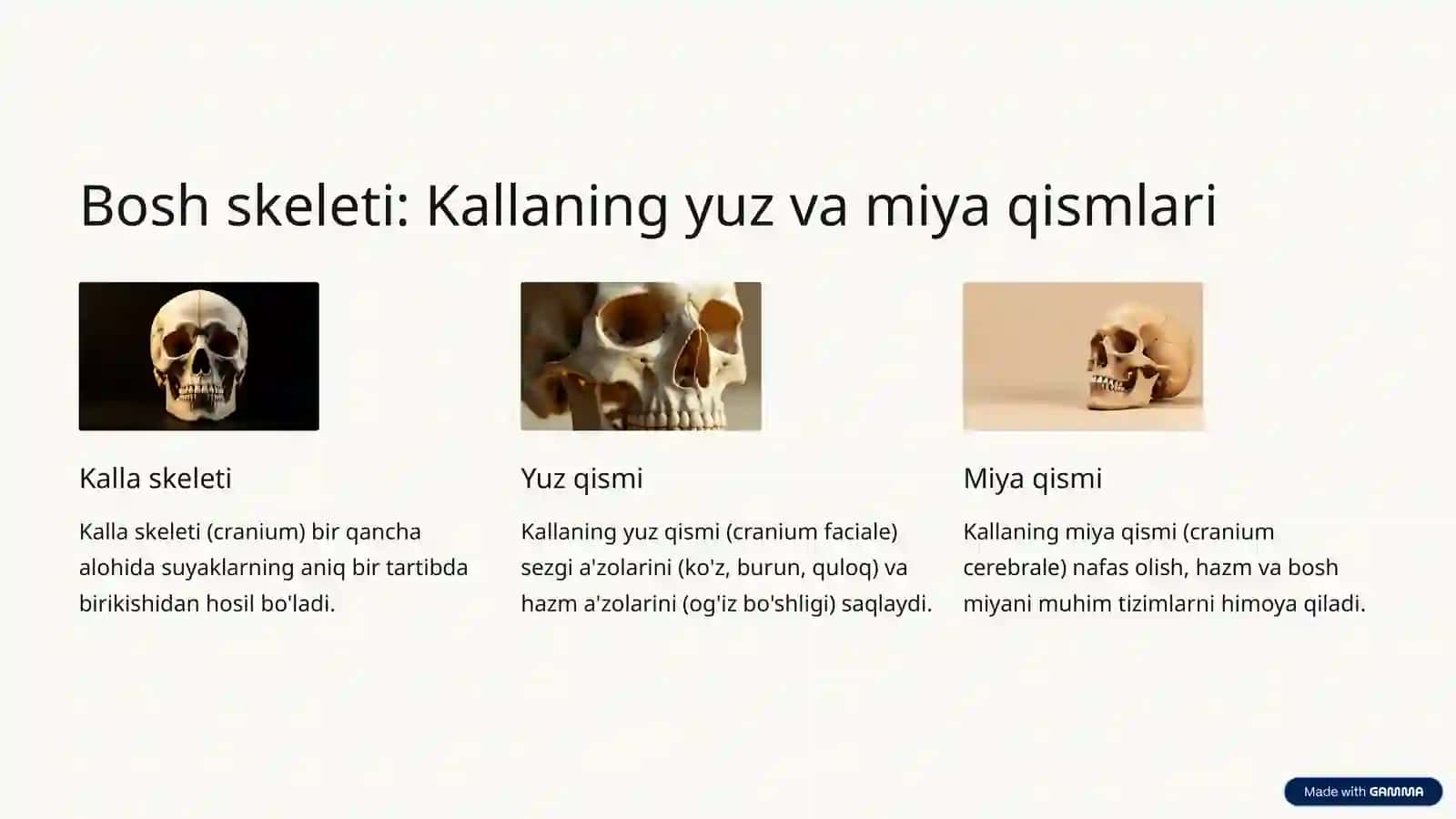 Inson tanasining murakkab hududlari 3
