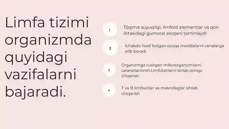 Limfa tizimi 3