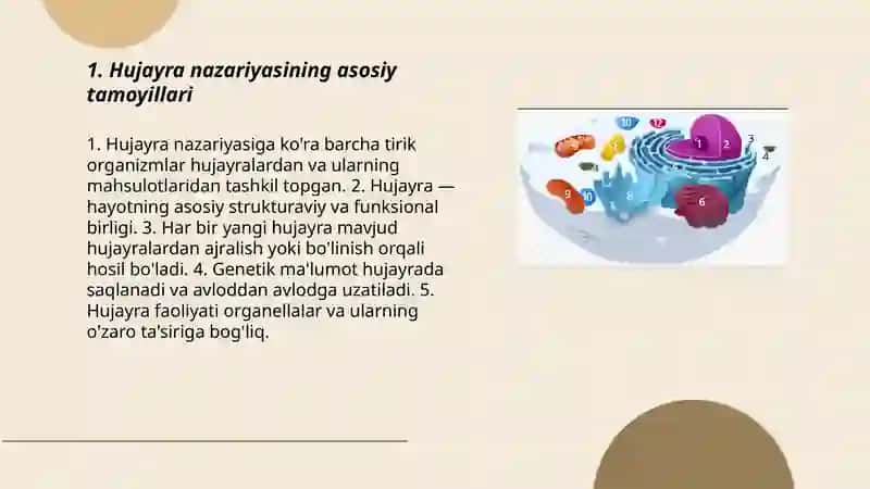 Hujayra nazaryasi 3