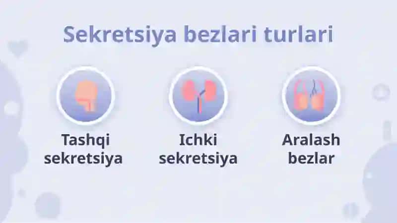 SEKRETSIYA BEZLARI 3