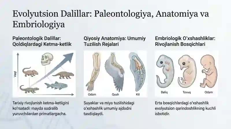 Tanlanish va Inson Evolyutsiyasi 3