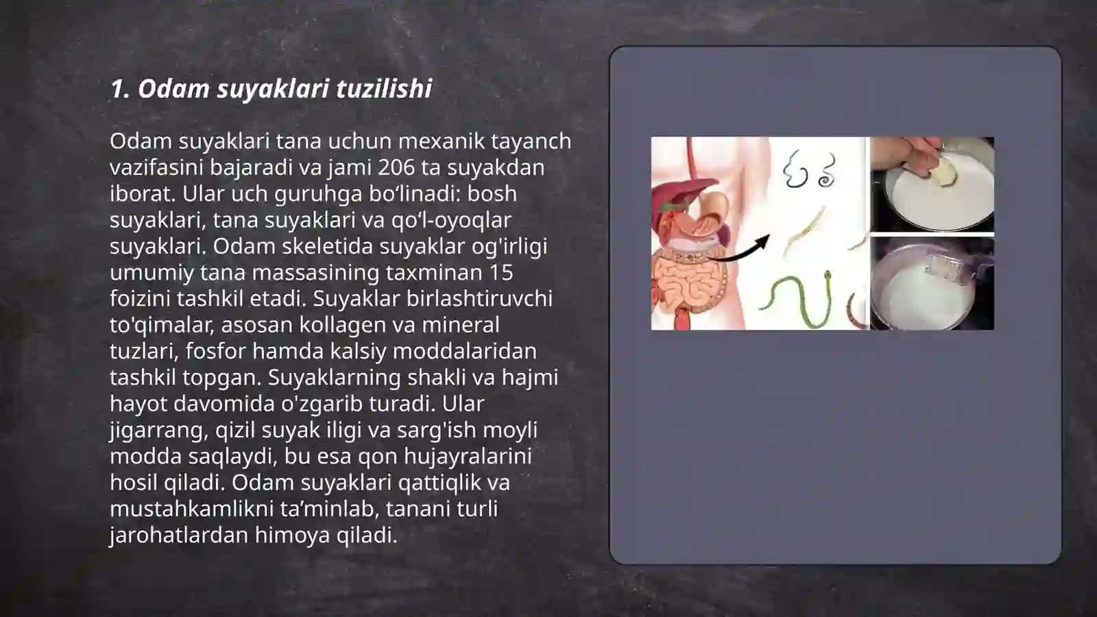 Odamlar suyaklarini oʻrganish 3