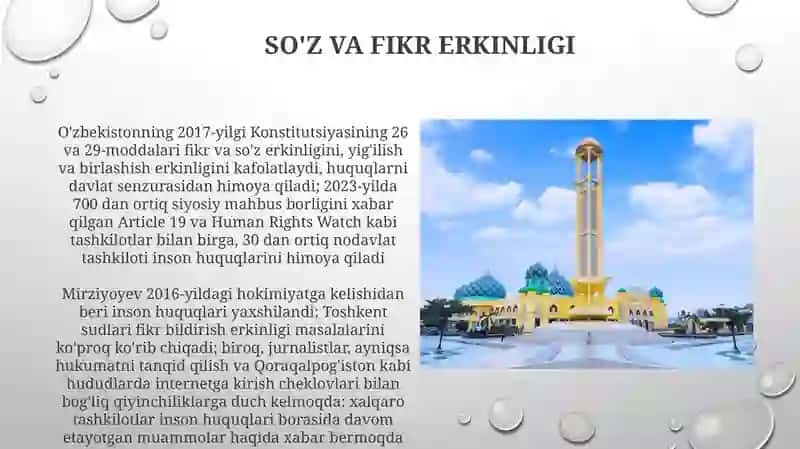 Konstitutsiyaviy Kafolatlar va Islohotlar 3