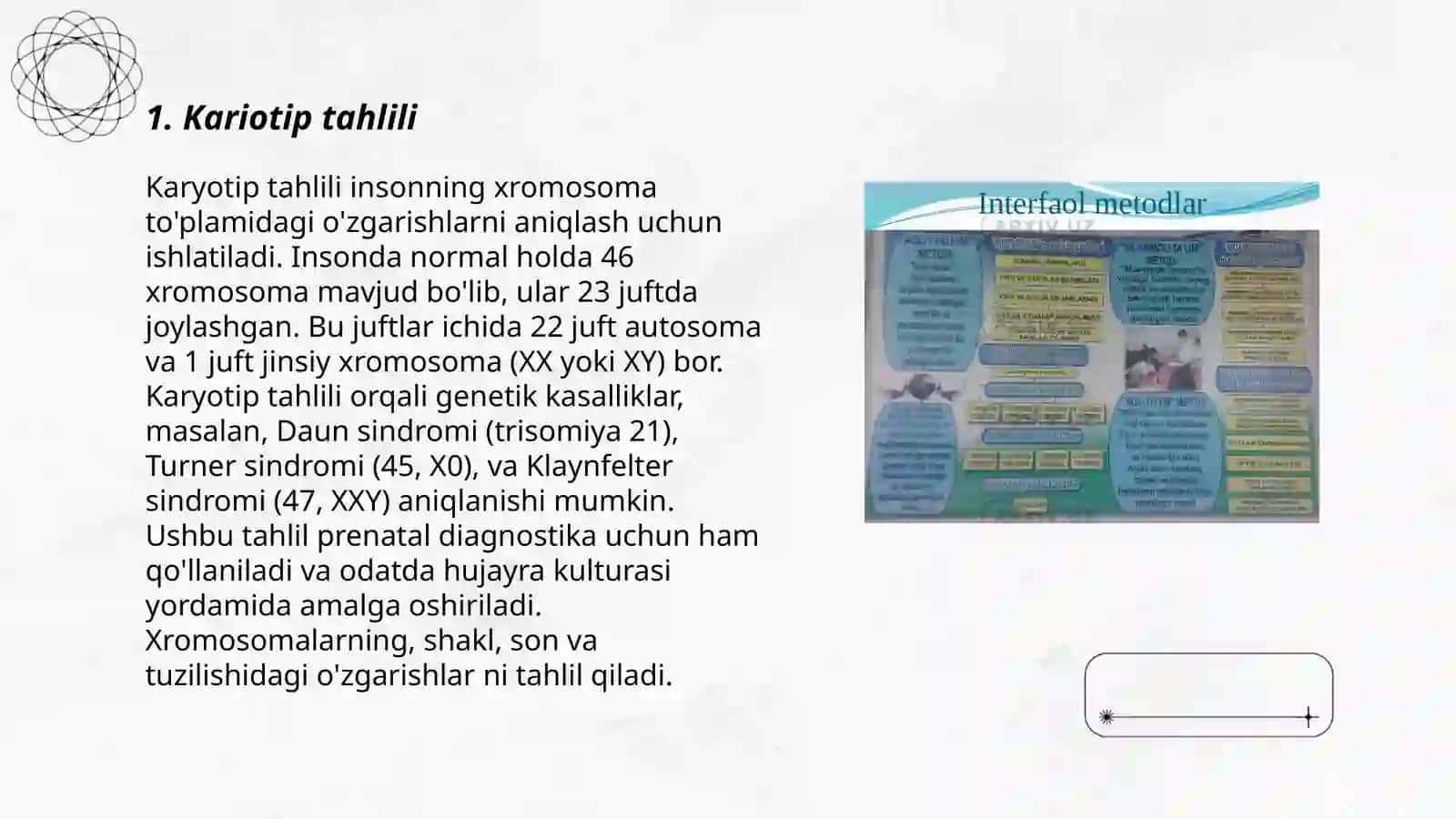 Karyotip tahlili 3