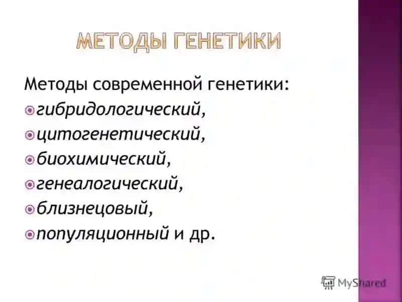 Генетика человека 3