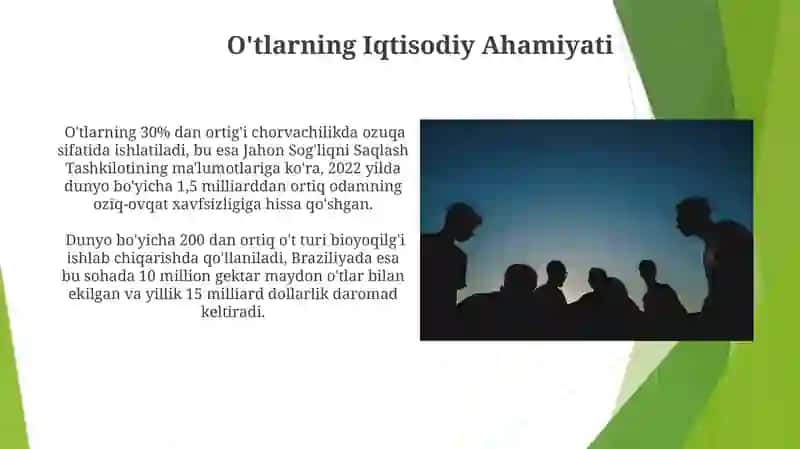 Otlarning 3-guruh turlanishi 3