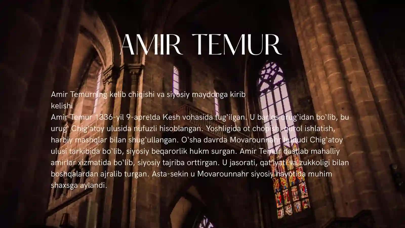 AMIR TEMUR 3