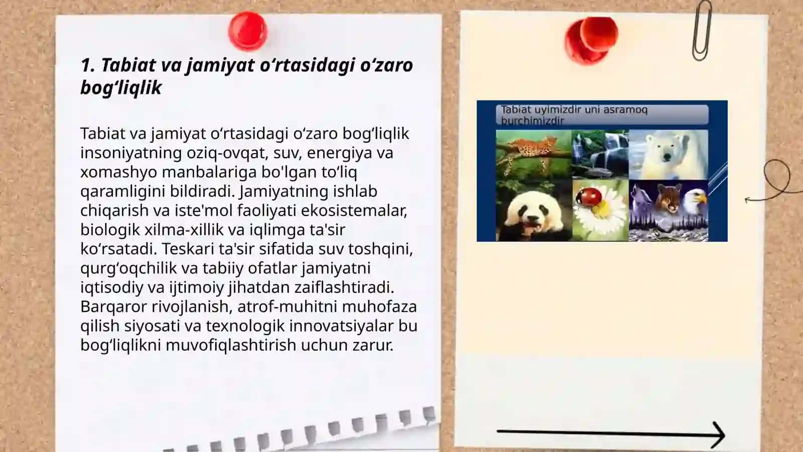 Tabiat va jamiyat oʻrtasidagi oʻzaro munosabatlar 3
