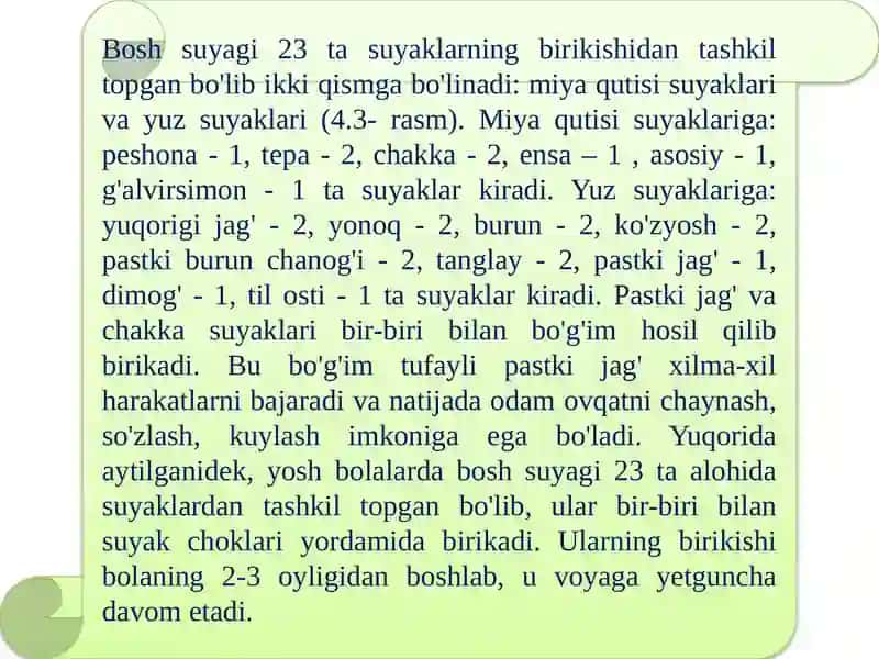 Bosh skeletining tuzilishi va birikishi 3