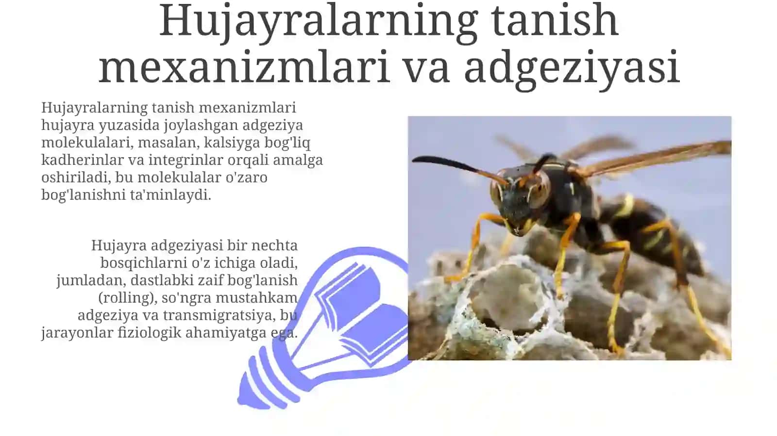 Hujayranibirbirinitanishmuammosi 3