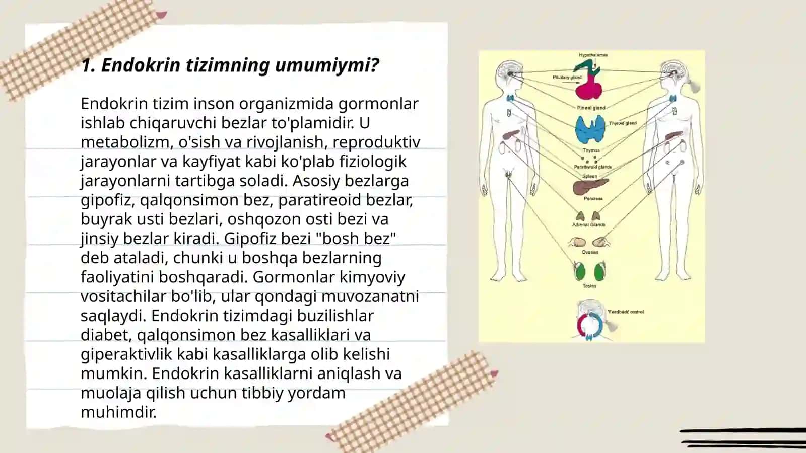 Endokrin Tizimning Umumiymi? 3