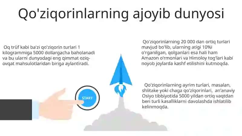 Qo'ziqorinlar 3