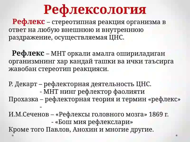 Функции ЦНС. Рефлексология 3