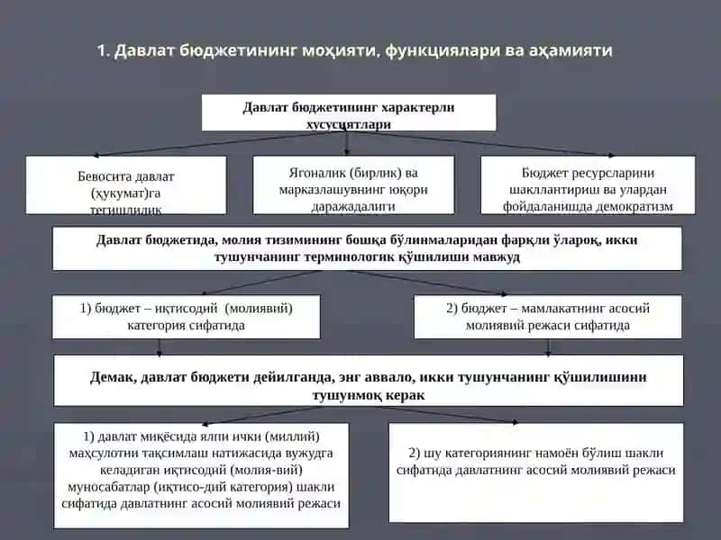 ДАВЛАТ БЮДЖЕТИ 3
