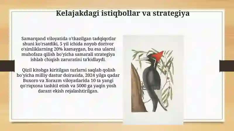 Qizil Kitob 3