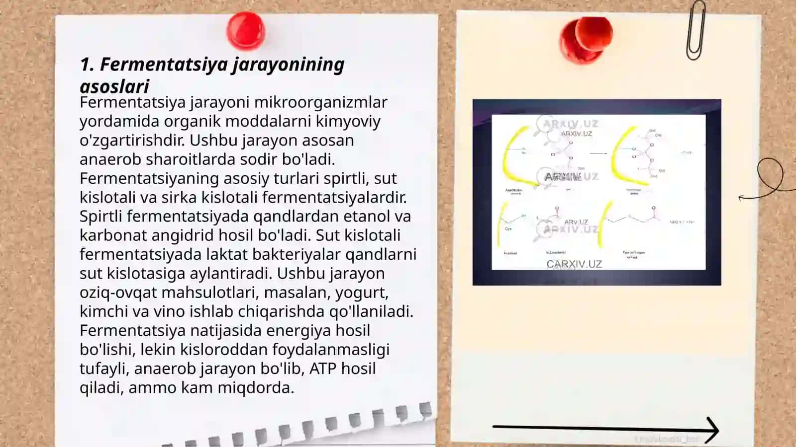 Fermentatsiya jarayonlari va ularning turlari 3