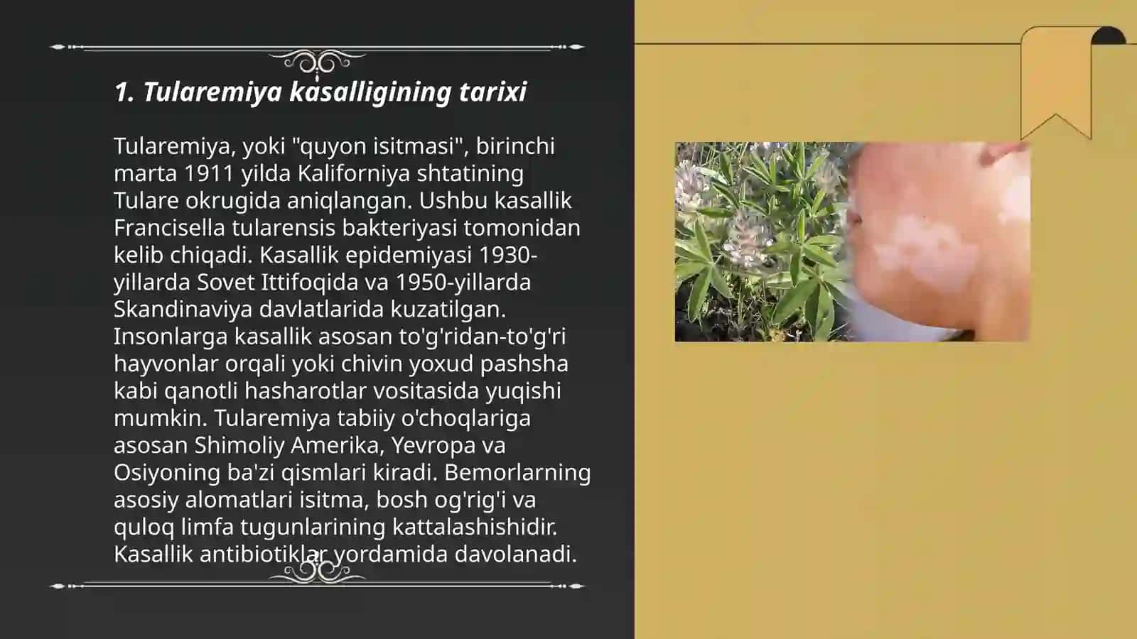 Tulyaremiya kasalligi 3