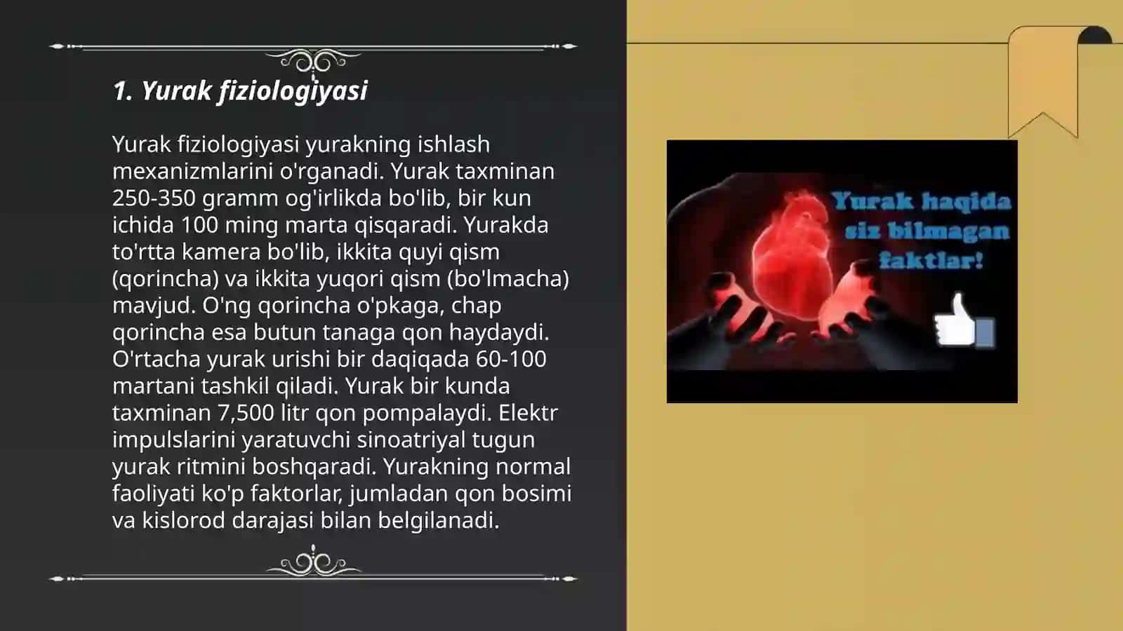 Yurak faoliyatining boshqarilishi 3