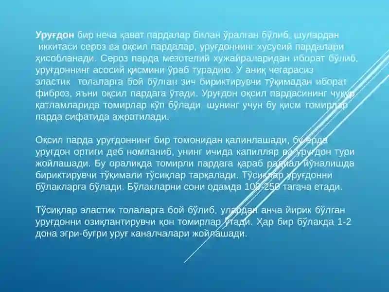 Жинсий тизим ва жинсий система 3