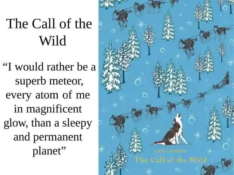 The Call of the Wild 3