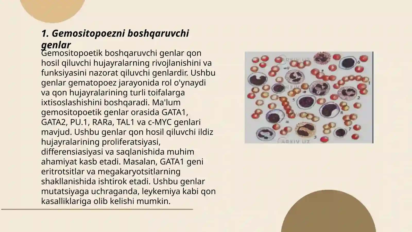 Gemositopoez jarayonining boshqariluvi 3