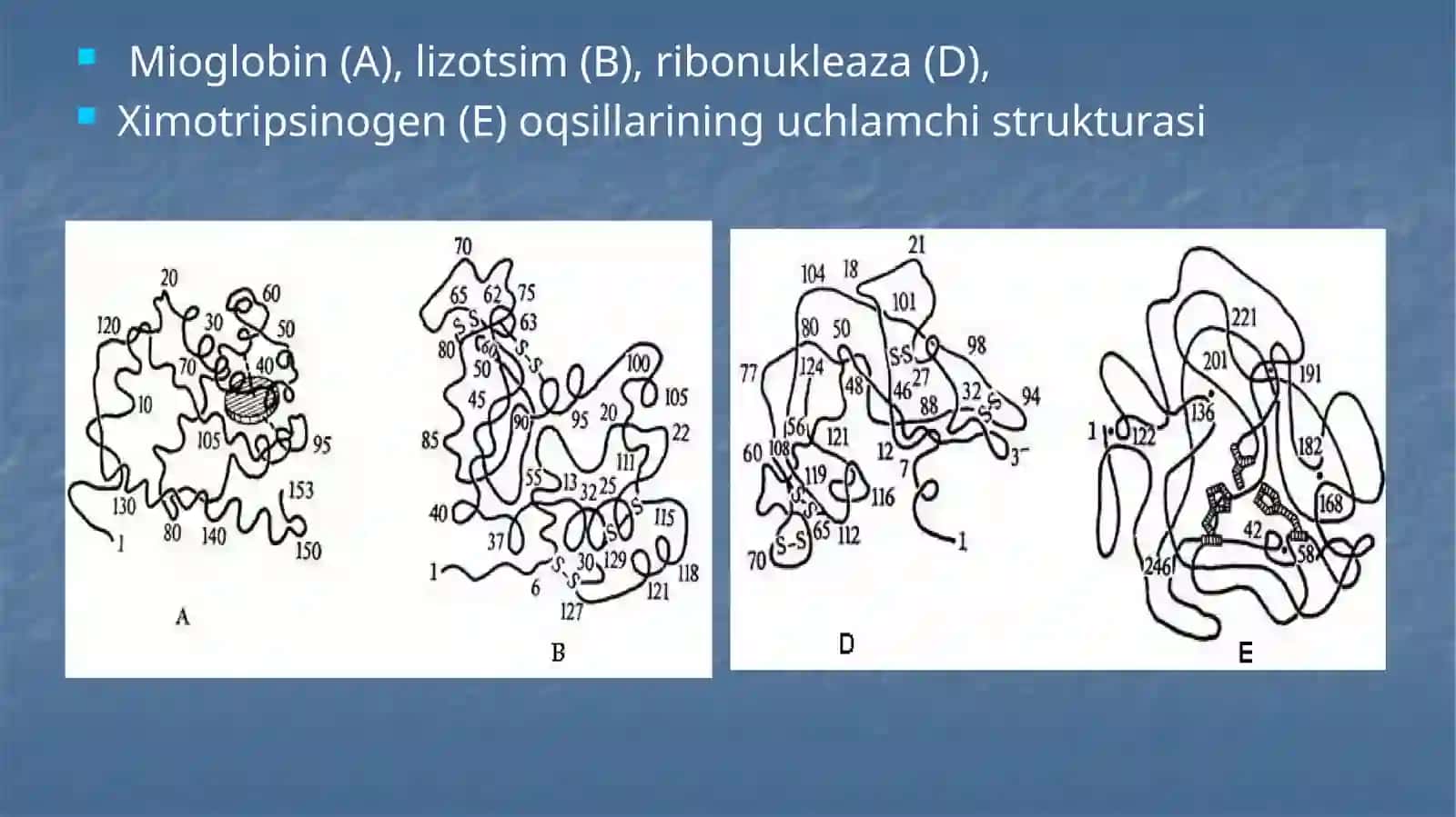 Oqsillarning birlamchi strukturasi 3