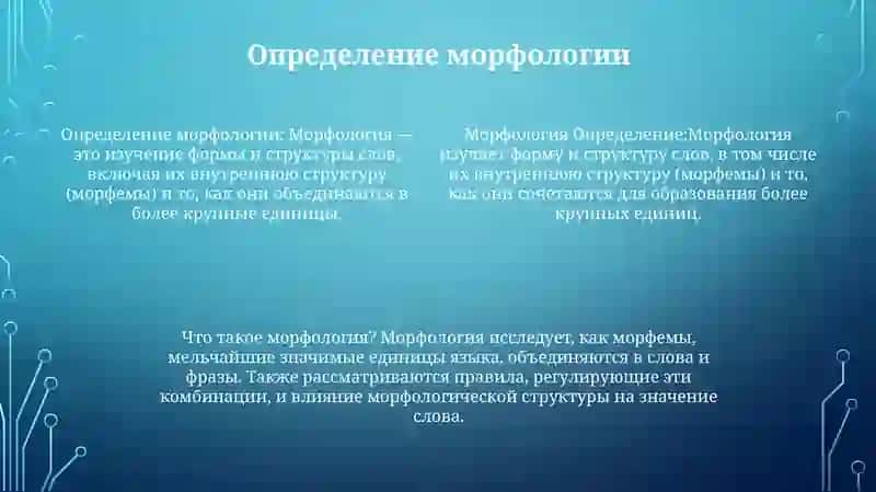 Морфология 3