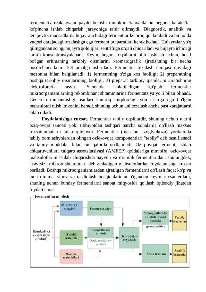 Fermentlar muhandisligi 3