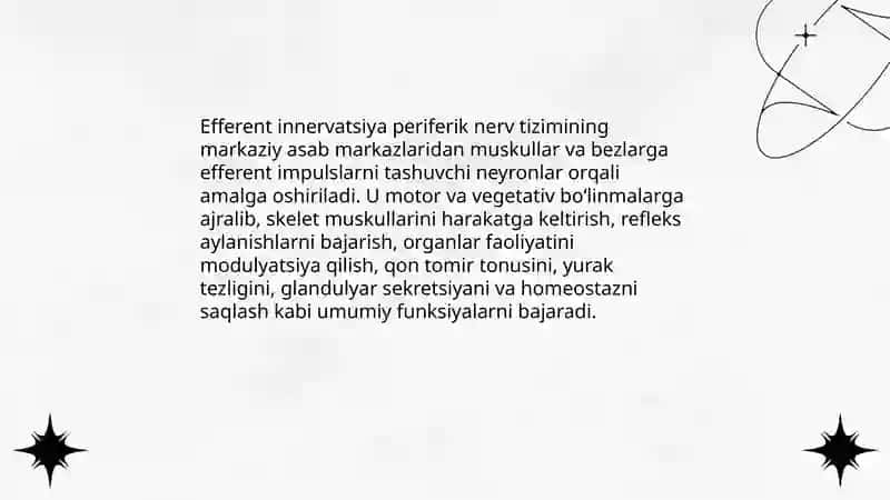 Efferent innervatsiya 3