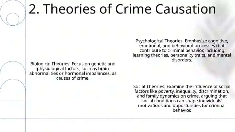 Crime 3
