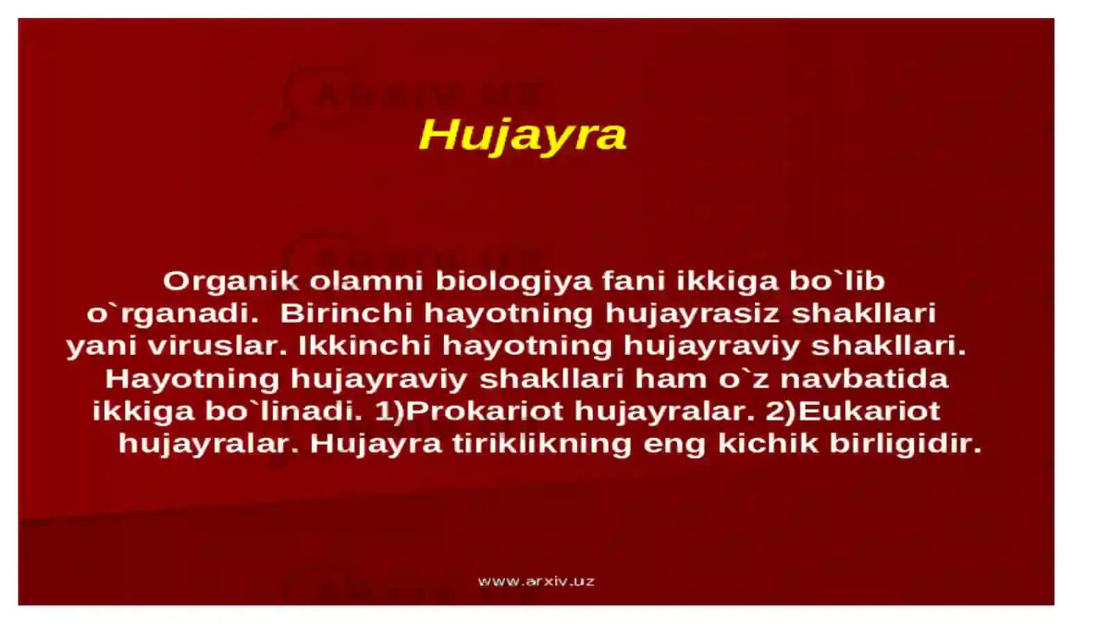 S.SHODIYONA ANATOMIYA 3