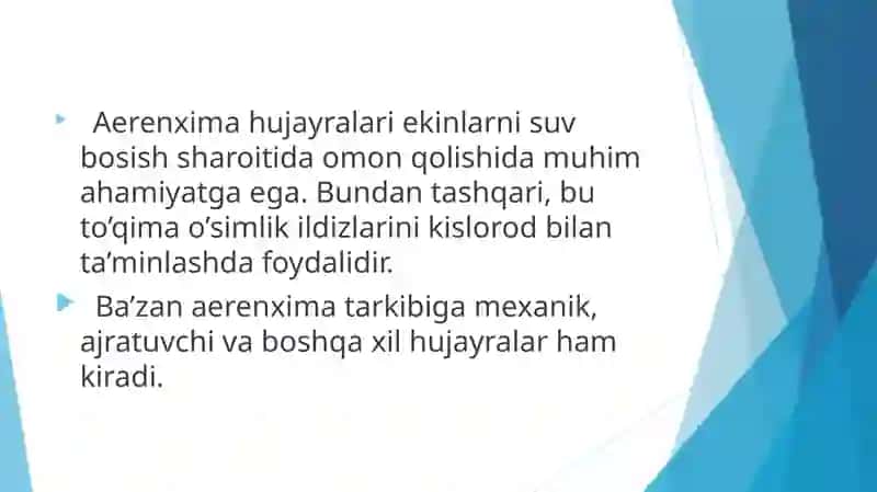 To’qimalar. Aerenxima, assimilatsion, g’amlovchi to’qimalar. 3
