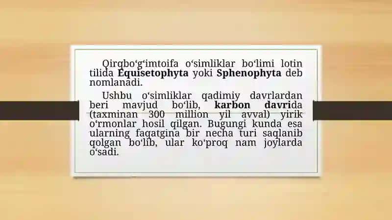 qirqbo'g'imtoifa o'simliklar bo'limi 3
