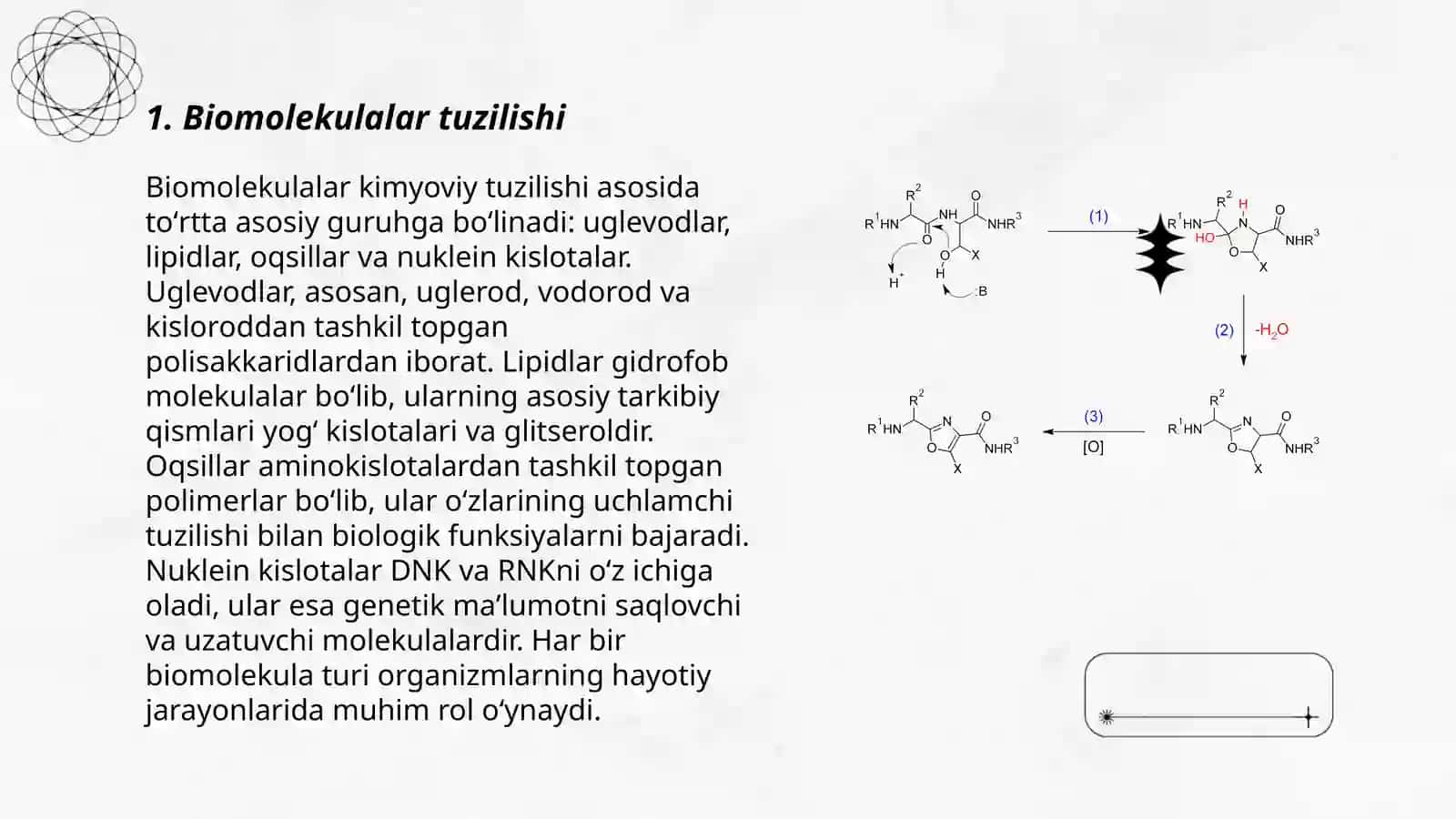 Biomolekulalar 3