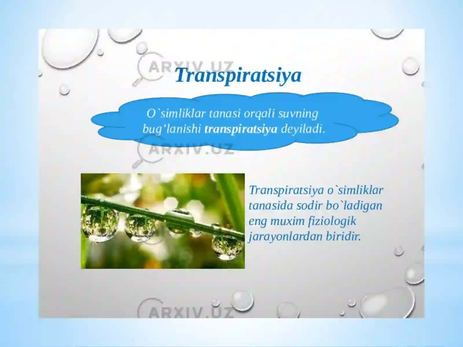 Transpiratsiyaxillari 3