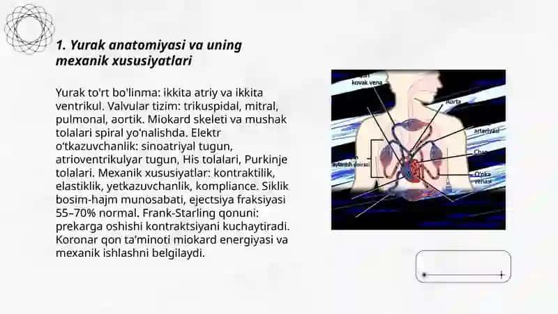 Yurak faoliyatining fizik asoslari 3