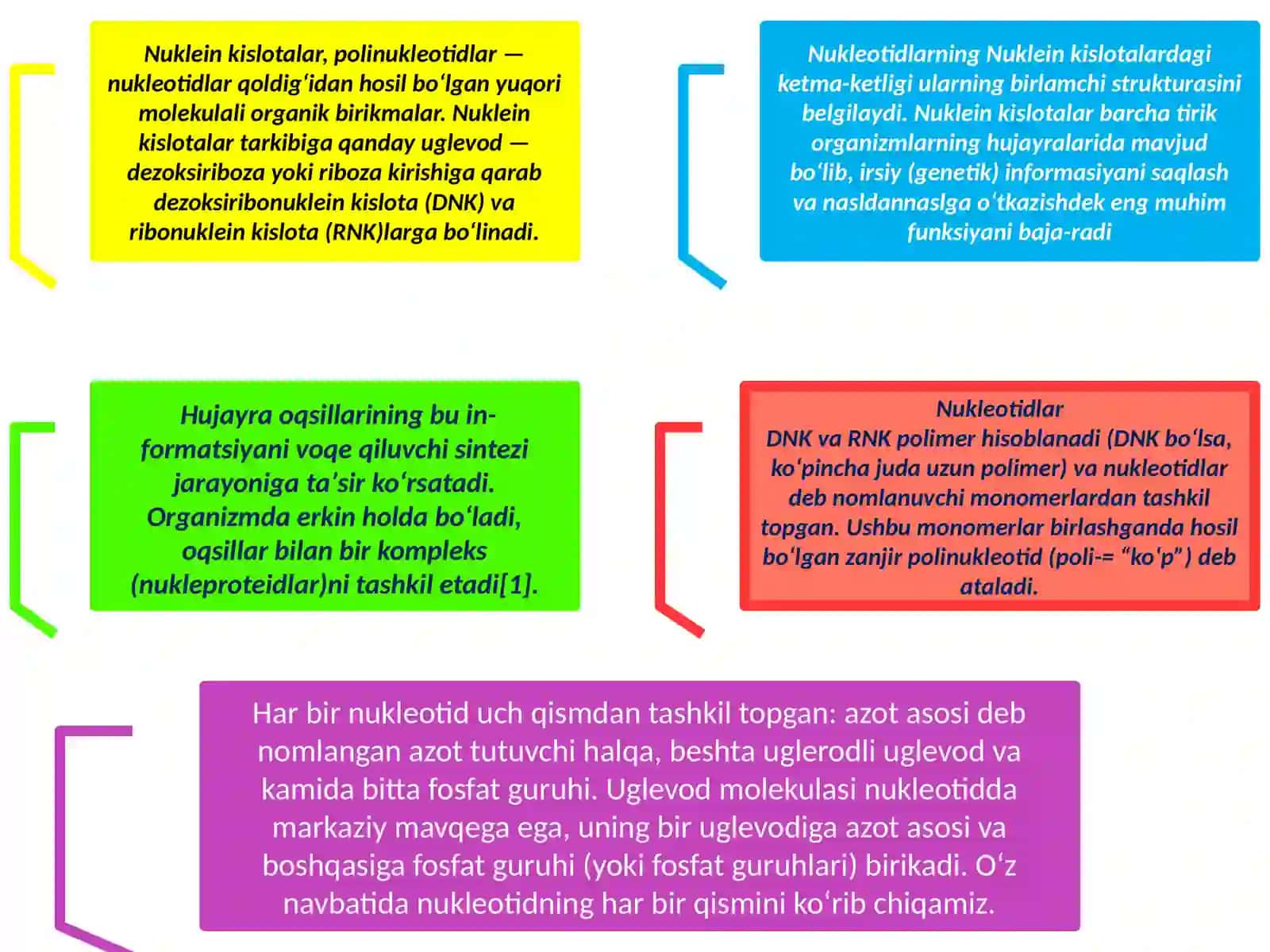 Nukleinkislotalar. DNK va RNK’’ 3