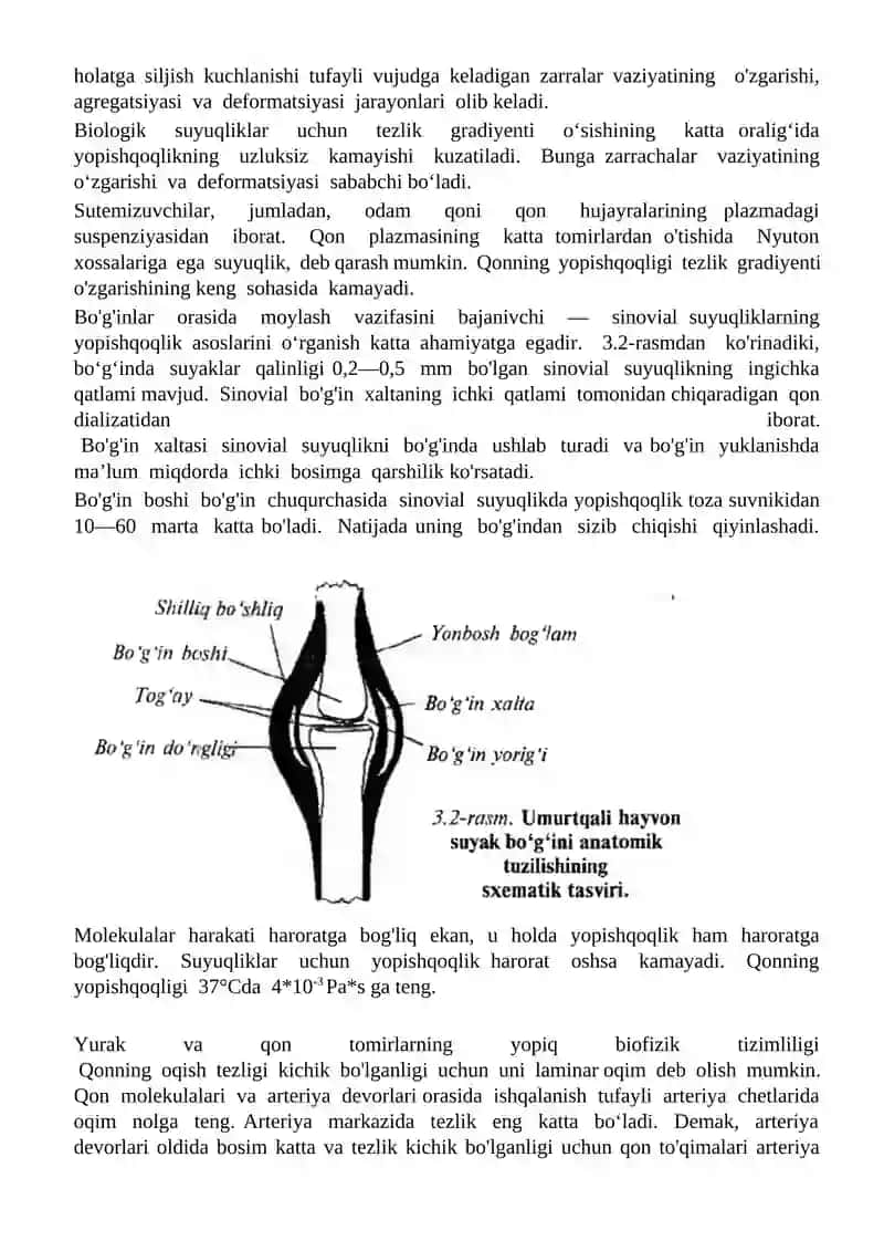 Gidrodinamikaning biologic asoslari 3